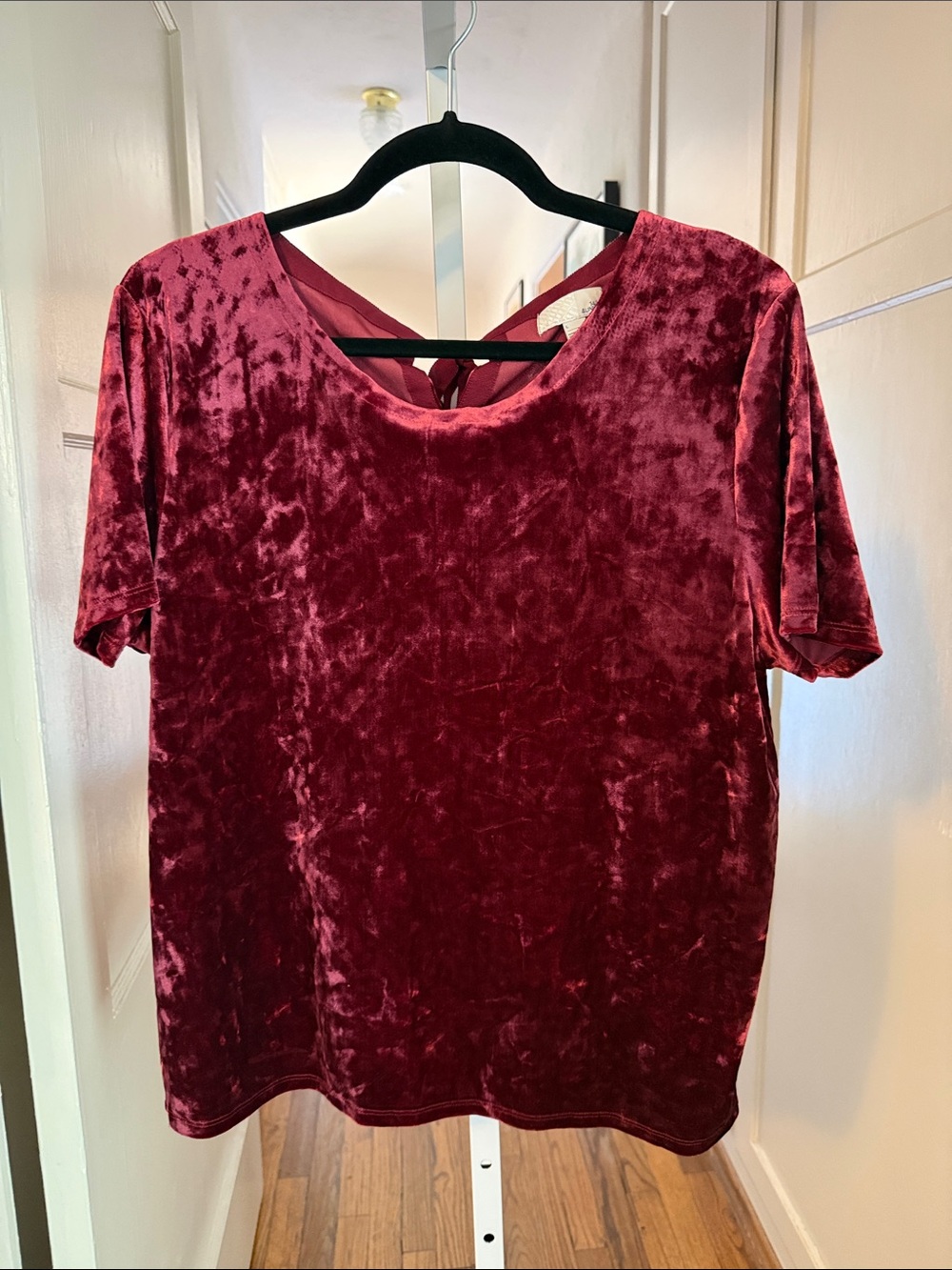 14th & Union Velvet Short-Sleeve Top in Burgundy with Bow